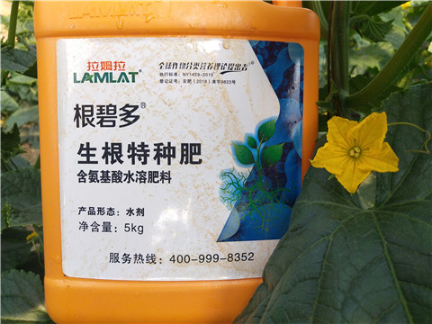 根碧多，菌劑，安碧解