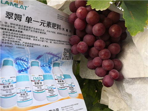水溶肥，鈣肥，硼肥