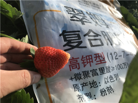 水溶，拉姆拉，翠姆