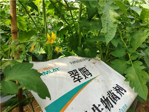 微生物菌劑，