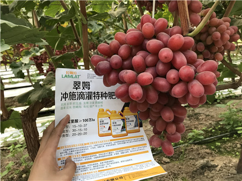 沖施肥，拉姆拉