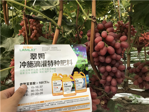 沖施肥，拉姆拉