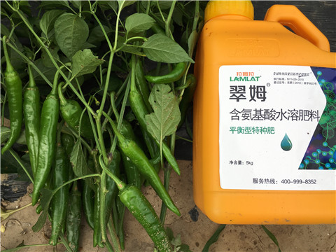 根碧多，微生物菌，葉面肥