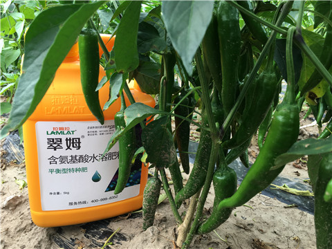 根碧多，微生物菌，葉面肥