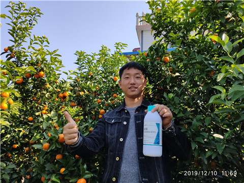 硼肥，拉姆拉