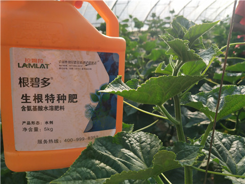 拉姆拉，根碧多，微生物菌劑