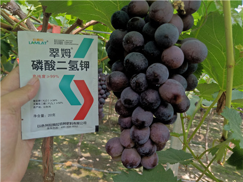 磷酸二氫鉀，葉面肥