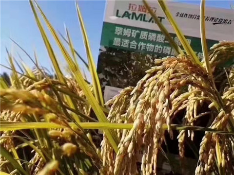 磷酸二氫鉀，翠姆