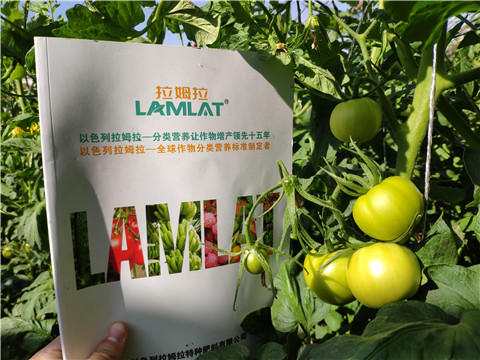 微生物菌劑，拉姆拉，伯示麥