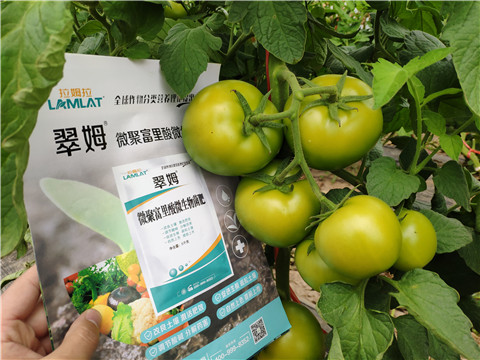 葉面肥，微生物菌劑，磷酸二氫鉀