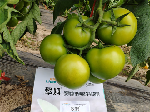 葉面肥，微生物菌劑，磷酸二氫鉀