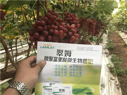 微生物菌劑，硼肥，鈣肥