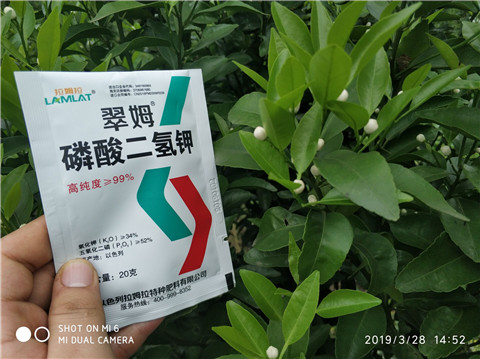 磷酸二氫鉀，硼肥，拉姆拉