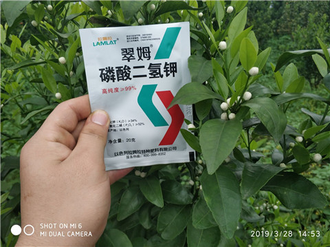 磷酸二氫鉀，硼肥，拉姆拉