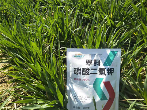 磷酸二氫鉀，葉面肥，拉姆拉