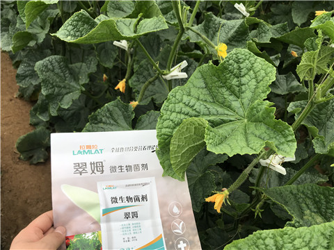 微生物菌劑，水溶肥，拉姆拉