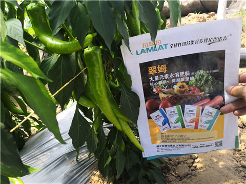 微生物菌劑，復(fù)合肥料，拉姆拉