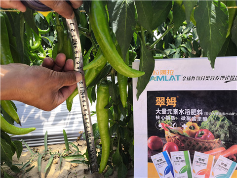 微生物菌劑，復(fù)合肥料，拉姆拉