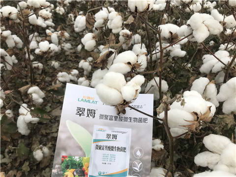 微生物菌劑，根碧多，拉姆拉