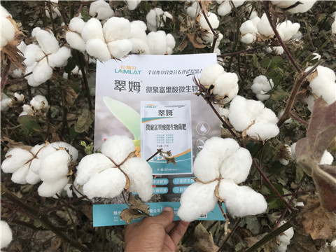 微生物菌劑，根碧多，拉姆拉