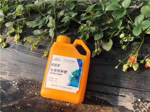 根碧多，微生物菌劑，拉姆拉