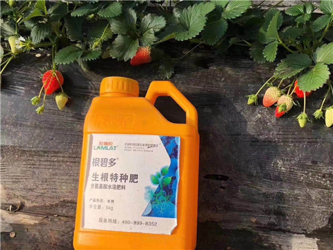 根碧多，微生物菌劑，拉姆拉