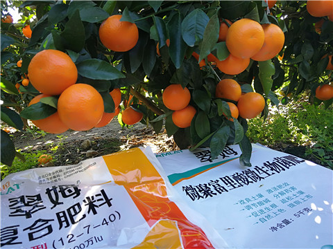水溶肥，拉姆拉