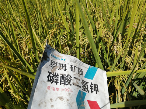 磷酸二氫鉀，翠姆，拉姆拉