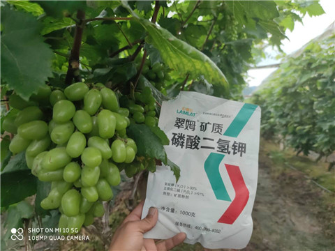 磷酸二氫鉀，拉姆拉