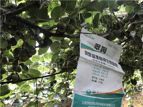 微生物菌劑，翠姆，拉姆拉