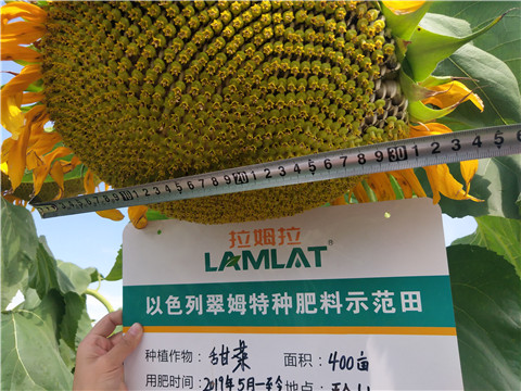 水溶肥，微生物菌劑，拉姆拉