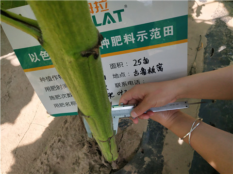 水溶肥，微生物菌劑，拉姆拉