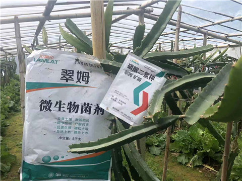 磷酸二氫鉀，翠姆，拉姆拉