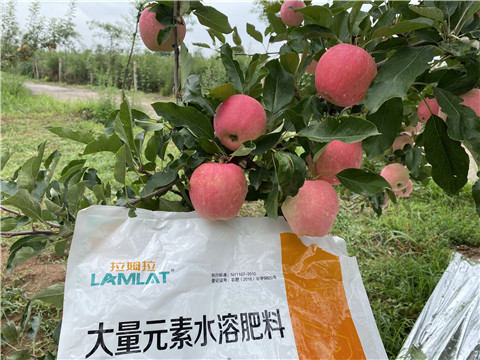 水溶肥，翠姆，拉姆拉