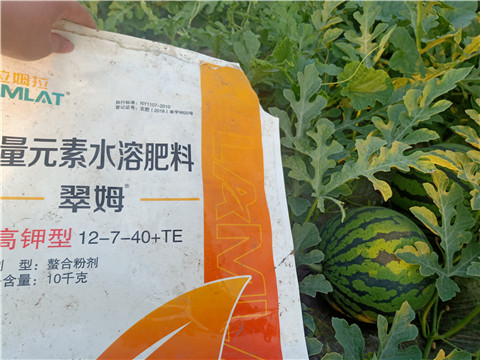 水溶肥，拉姆拉，翠姆