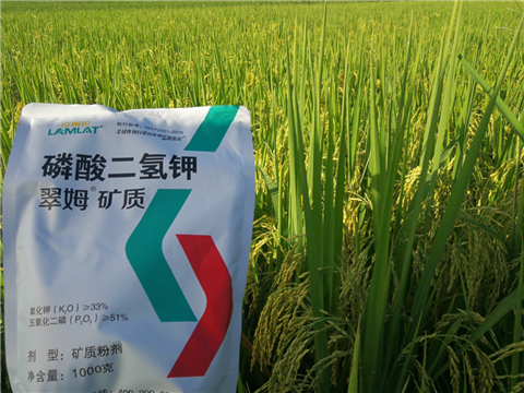 葉面肥，水稻灌漿肥，拉姆拉