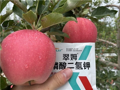 高鉀水溶肥，磷酸二氫鉀，拉姆拉，翠姆