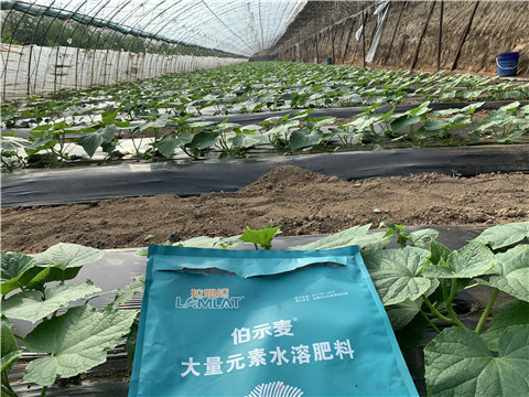 水溶肥，拉姆拉