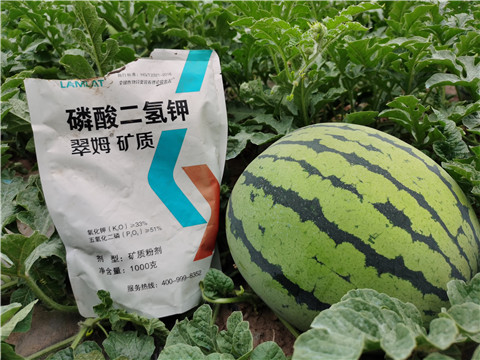 進口水溶肥，翠姆，拉姆拉