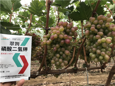 進口水溶肥，拉姆拉
