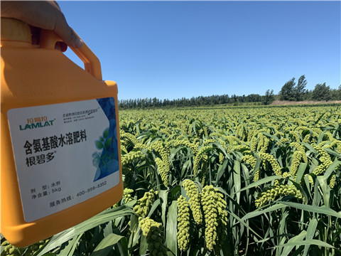磷酸二氫鉀，拉姆拉，翠姆