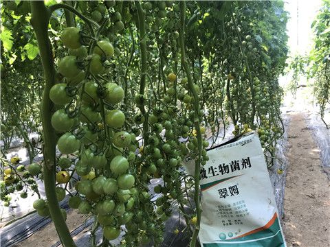 微生物菌劑，磷酸二氫鉀，翠姆，拉姆拉