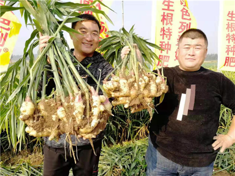 水溶肥，翠姆，拉姆拉