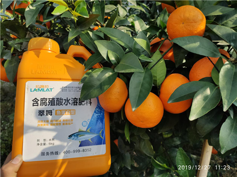 水溶肥，翠姆，拉姆拉