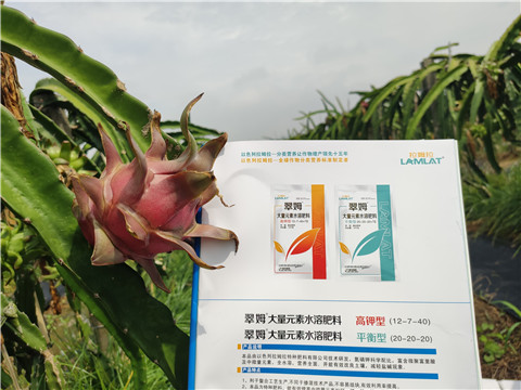 進口水溶肥，拉姆拉，翠姆