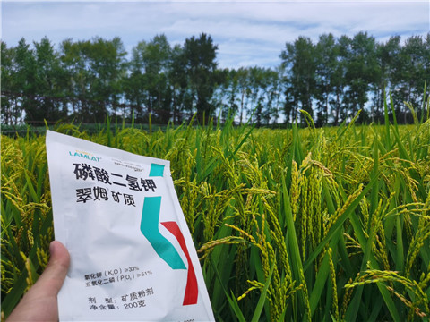 磷酸二氫鉀，拉姆拉，翠姆