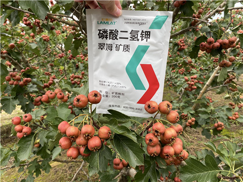 磷酸二氫鉀，拉姆拉，翠姆