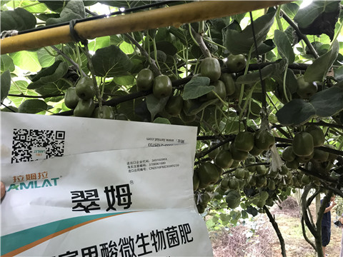 微生物菌劑，平衡顆粒復(fù)合肥，翠姆，拉姆拉