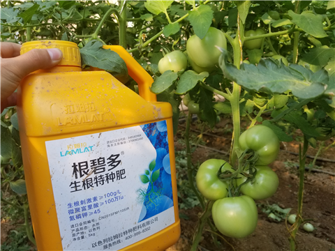 葉面肥，磷酸二氫鉀，微生物菌劑，翠姆，拉姆拉
