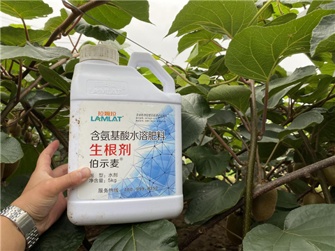 水溶肥，生根劑，微生物菌劑，伯示麥，拉姆拉